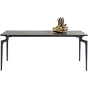 Table Bug 200x90cm